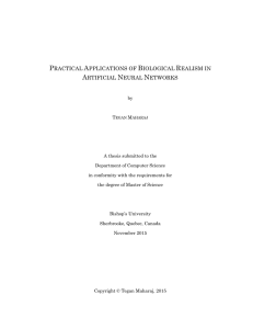 Practical Applications of Biological Realism in Artificial Neural