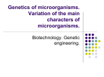 Genetic of microorganisms. Variation of the main characters of