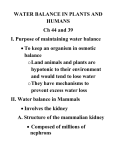 WATER BALANCE IN PLANTS AND HUMANS Ch 44 and 39 I