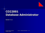 CO22001 Database Administrator