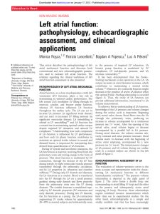 Left atrial function: pathophysiology, echocardiographic assessment