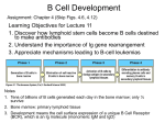 B Cell Development - Welcome to people.pharmacy.purdue.edu!