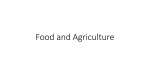 Food and Agriculture - Moore Public Schools