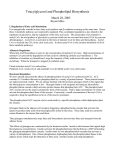 Triacylglycerol and Phospholipid Biosynthesis