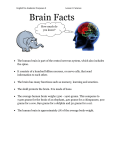 EAP2 Lesson 3 Brain Facts Text