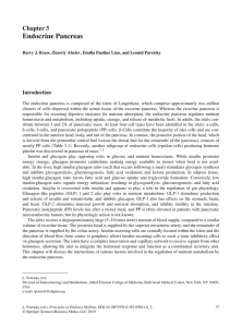 Endocrine Pancreas