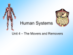 Human Systems - Earth Portal Community