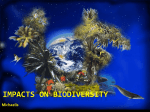 Impacts on Biodiversity