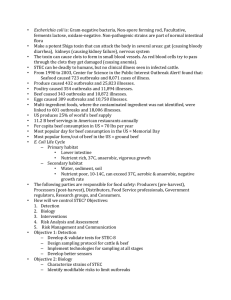 Appendix 12 - Beef Background Knowledge