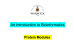 Protein Domains