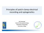 Principles of patch-‐clamp electrical recording