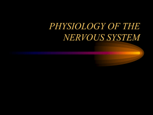 PHYSIOLOGY OF THE NERVOUS SYSTEM