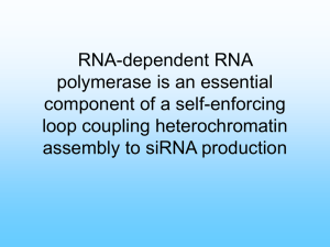 RNA-dependent RNA polymerase is an essential component of a