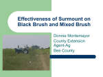 Evaluation of Herbicide formulations on South Texas Mixed Brush