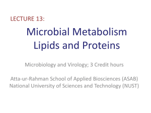 Microbial Metabolism Lipids and Proteins - ASAB-NUST