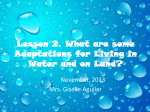 Lesson 2. What are some Adaptations for Living in Water and on
