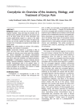 An Overview of the Anatomy, Etiology, and Treatment of Coccyx Pain
