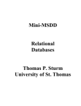 Mini-MSDD - Relational Databases