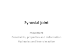 Synovial joint