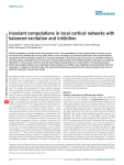 Invariant computations in local cortical networks with balanced