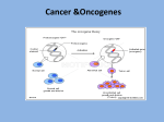 proto-oncogene