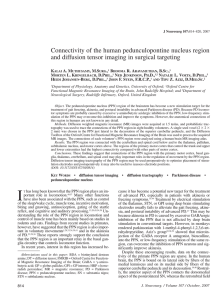 Connectivity of the human pedunculopontine nucleus region and