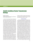 Xylella fastidiosa Vector Transmission Biology