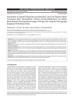 Assessment of Lipiodol Deposition and Residual