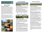 Barrier Island Ecosystem Guide