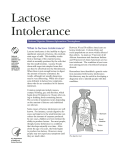 Lactose Intolerance - Carnegie Hill Endoscopy
