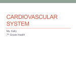 Cardiovascular System - Hatboro