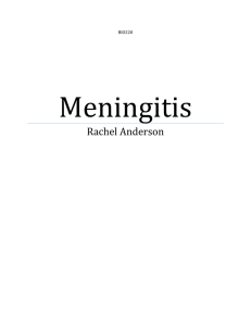 Meningitis - WordPress.com