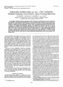 Sulrfobacillus disuljidooxidans sp. nov., a New Acidophilic, Disulfide