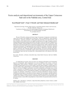 Facies analysis and depositional environments of the Upper