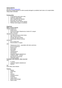 endocarditis