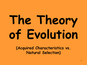 The Theory of Evolution