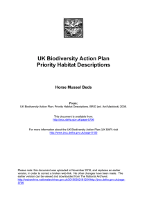 Horse mussel beds (UK BAP Priority Habitat description)