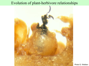 Escape-and-radiate coevolution