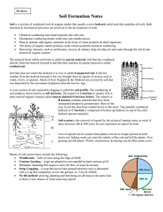 Soil Formation Worksheet