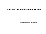 chemical carcinogenesis - Roswell Park Cancer Institute