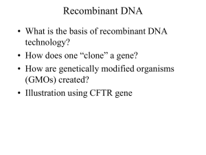 Chapter 16 - Recombinant DNA