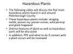 Hazardous Plants Powerpoint