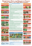 major insect pests and diseases of tomato in east africa