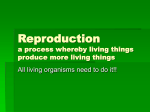 Reproduction a process whereby living things produce more living