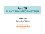 Part III PLANT TRANSFORMATION
