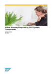 Virtual Memory Required by SAP System Components