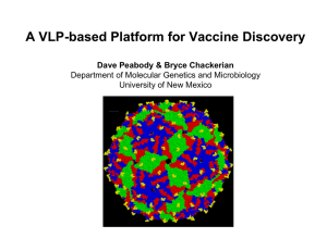 A VLP-based Platform for Vaccine Discovery