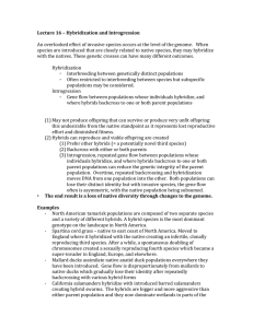 Lecture 16 – Hybridization and Introgression An overlooked effect of