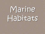 Marine Habitats