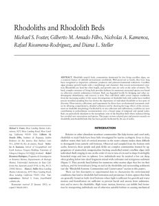Rhodoliths and Rhodolith Beds